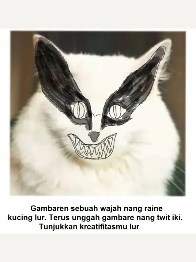 7 Hasil Kreativitas Netizen Menggambar Muka Pada Tubuh Kucing Ini Kocak