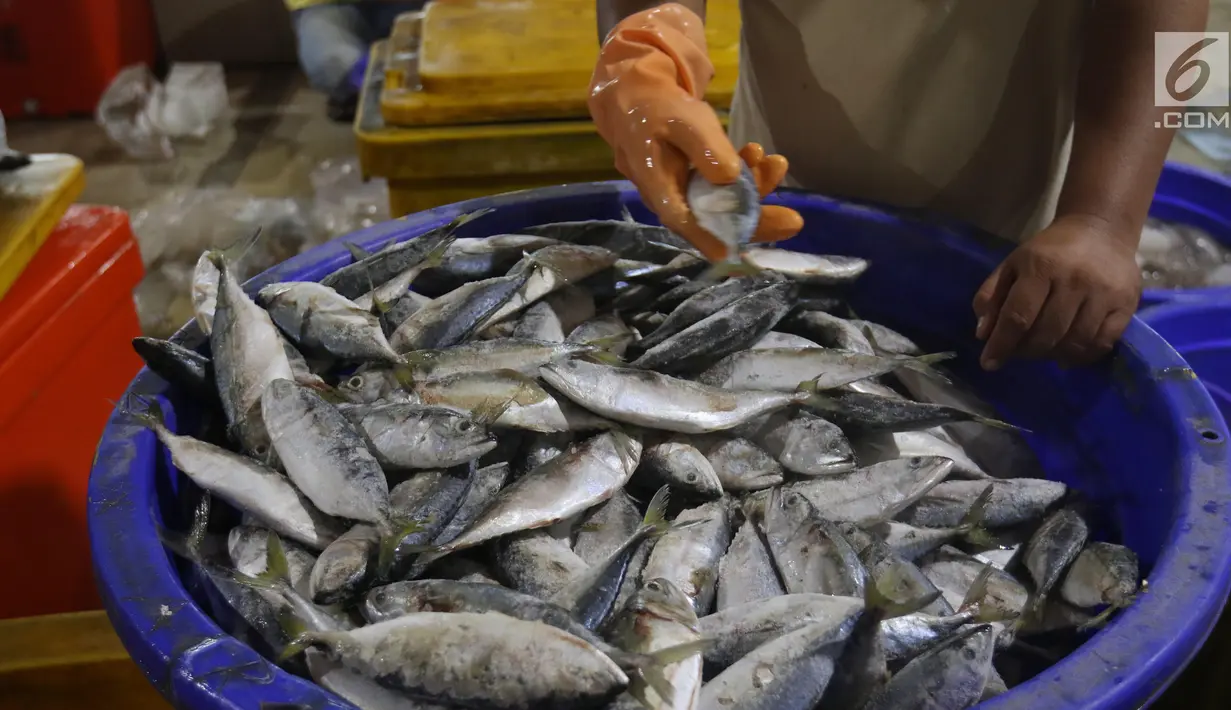 Pedagang mengecek ikan di Pelelangan ikan Muara Baru, Jakarta, Sabtu (6/7/2019). Angka ini mengalami kenaikan 24% dibandingkan periode yang sama tahun lalu yang hanya mencapai Rp32 triliun. (Liputan6.com/Angga Yuniar)