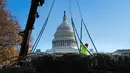 Pekerja memasang pengait saat akan menempatkan pohon Natal raksasa di halaman Gedung Capitol AS di Washington, Senin (27/11). Pohon Natal tersebut tiba di Gedung Capitol setelah melalui perjalanan sejauh 3.000 mil dari Montana. (JIM WATSON/AFP)