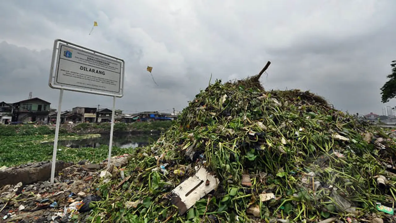 Tumpukan Sampah Menggunung di Waduk Pluit