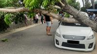 Sebuah mobil di Kota Gorontalo tertimpa pohon tumbang akibat angin kencang. Foto:Istimewa (Arfandi Ibrahim/Liputan6.com)