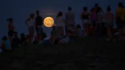 Sejumlah orang menyaksikan gerhana bulan parsial dari atas sebuah bukit di taman Tio Pio, Madrid, Senin (7/8). Gerhana bulan parsial terjadi ketika bumi bergerak di antara bulan dan matahari, tapi tidak persis dalam satu garis. (AP Photo/Francisco Seco)