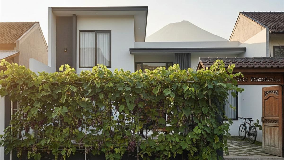 7 Jenis Tanaman Buah untuk Pagar Rumah, Solusi Kebun Produktif di Lahan Sempit