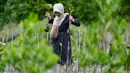 Melalui kegiatan ini, diharapkan, kesadaran lingkungan dan rasa tanggung jawab para siswa terhadap kelestarian alam semakin meningkat. (CHAIDEER MAHYUDDIN/AFP)