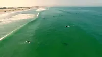 Selagi merekam pergerakan para peselancara di lepas pantai, seorang pengguna drone malah memergoki seekor ikan hiu dekat para peselancar.