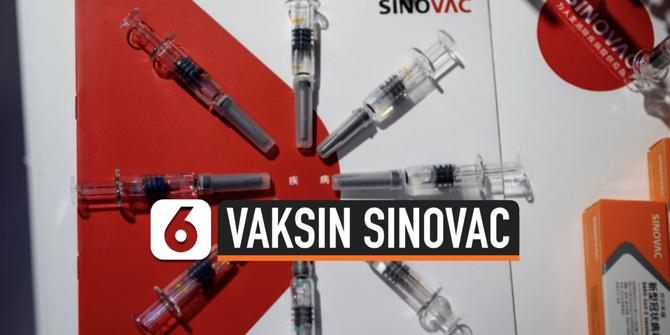 VIDEO: Efektivitas Vaksin Covid-19 Sinovac di Brasil Mencapai 78 Persen