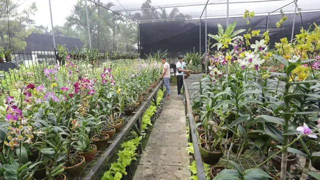 Taman Anggrek Ragunan