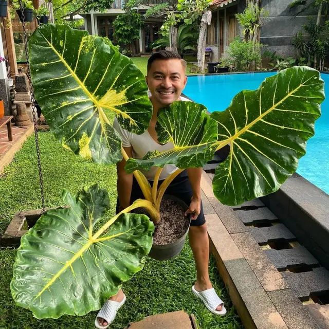 Anjasmara
