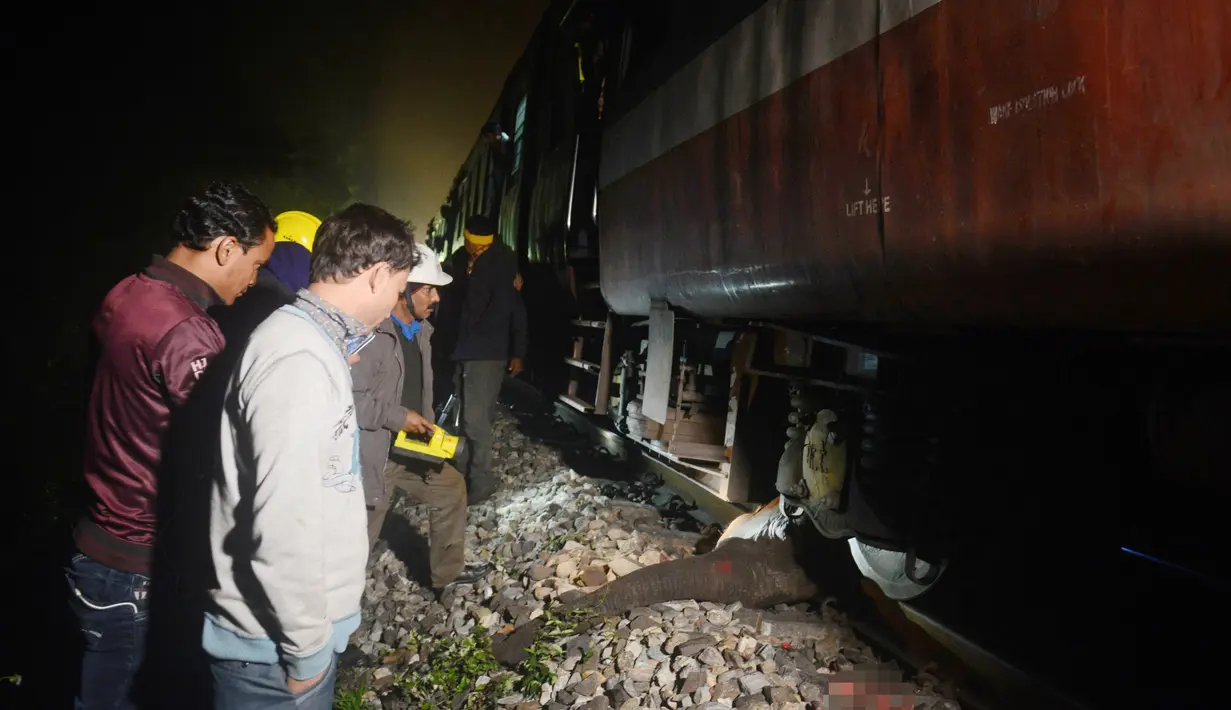 Petugas Kereta api bersama staf departemen kehutanan memeriksa bangkai gajah betina yang ditabrak kereta penumpang yang tergelincir di India, Selasa (15/12). Tidak ada korban jiwa dalam insiden tersebut. (AFP PHOTO/Diptendu Dutta)