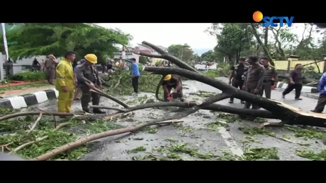 Hujan deras dan es disertai angin kencang melanda Sukabumi, Rabu (4/4) kemarin. Sebanyak 12 pohon besar tumbang.