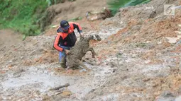 Warga mengangkat seekor kambing dari timbunan longsor di Dusun Cimapag, Desa Sirnaresmi, Kecamatan Cisolok, Sukabumi, Selasa (1/1). BNPB mencatat sebanyak 41 orang diduga masih tertimbun longsoran. (Merdeka.com/Arie Basuki)
