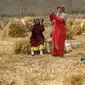 Para petani berteriak merayakan musim panen di sebuah peternakan di provinsi Delta Nil al-Sharqia, Mesir, Rabu (11/5/2022). Ukraina dan Rusia menyumbang sepertiga dari ekspor gandum dan jelai global, yang diandalkan oleh negara-negara di Timur Tengah dan Afrika untuk memberi makan jutaan orang yang hidup dari roti bersubsidi. (AP Photo/Amr Nabil)