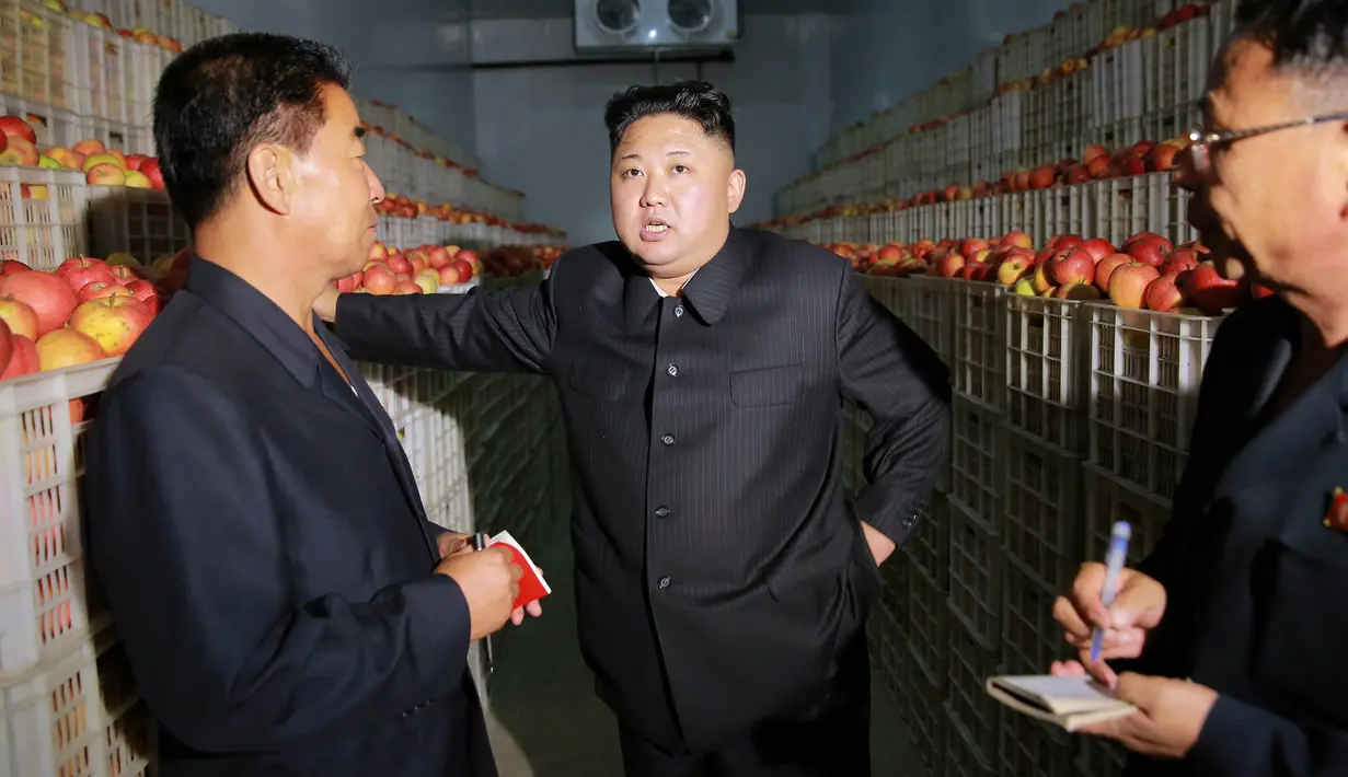 Pemimpin Korea Utara Kim Jong Un berbincang di dalam gudang penyimpanan hasil panen apel di Pyongyang, Minggu (18/9). Selain untuk melihat hasil panen, kedatangan Kim Jong Un juga untuk memberi bimbingan kepada Kosan Combined Fruit Farm. (REUTERS/KCNA) 