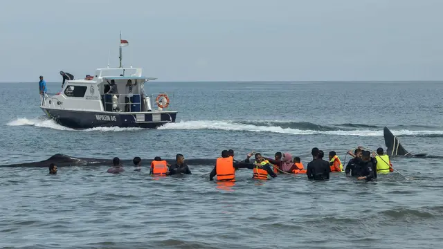 Paus di Aceh