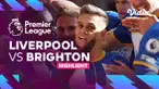 Berita video highlights Liga Inggris, Liverpool VS Brighton , Sabtu (1/10/22)
