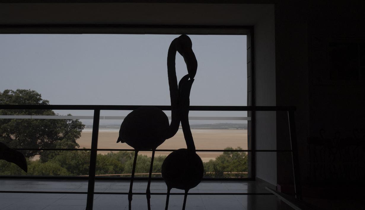 Kekeringan di danau itu memaksa Flamingo pergi ke tempat lain. (AFP/Jorge Geurrero)