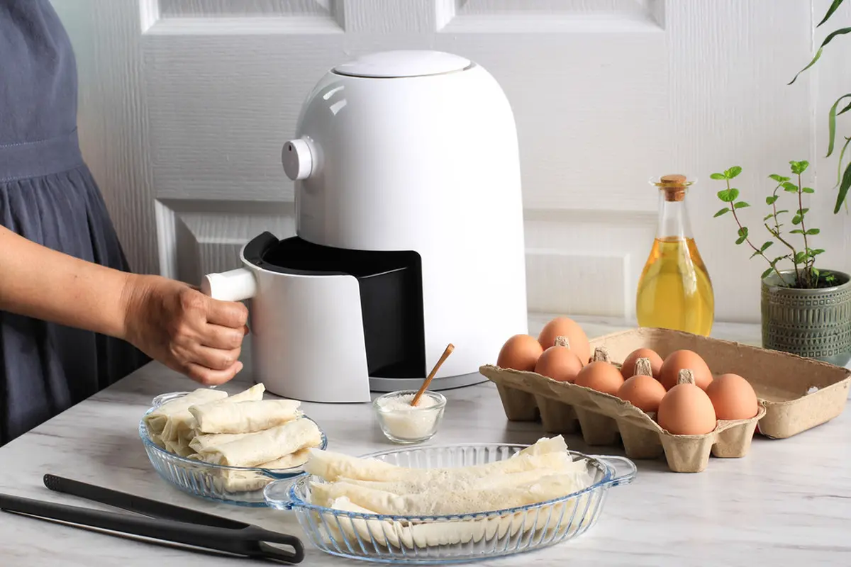 ilustrasi air fryer/Ika Rahma H/shutterstock
