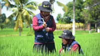 Perbaikan kualitas air dan memacu kesadaran pemanfaatan air melalui adaptasi perubahan iklim pada areal persawahan. Ditunjang pola bertanam jajar legowo (Jarwo) melalui inovasi Pertanian Cerdas Iklim atau Climate Smart Agriculture (CSA) akan mendukung upaya Kementerian Pertanian RI melakukan Pertambahan Areal Tanam (PAT) di Kabupaten Kebumen, Provinsi Jawa Tengah.