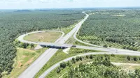 Tol Trans Sumatera Buka Akses ke Tempat Wisata untuk Pemudik, Ini Daftarnya