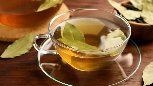 Ilustrasi daun rebusan penurun gula darah