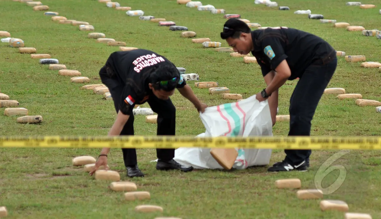 Petugas kepolisian memasukan barang bukti ganja kedalam karung saat rilis pengungkapan di Lapangan Bhayangkara, Jakarta, Senin (11/5/2015). 2,1 ton ganja kering asal Aceh diamankan Ditnarkoba Mabes Polri. (Liputan6.com/JohanTallo)
