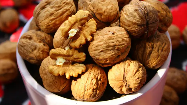 Kacang Kenari