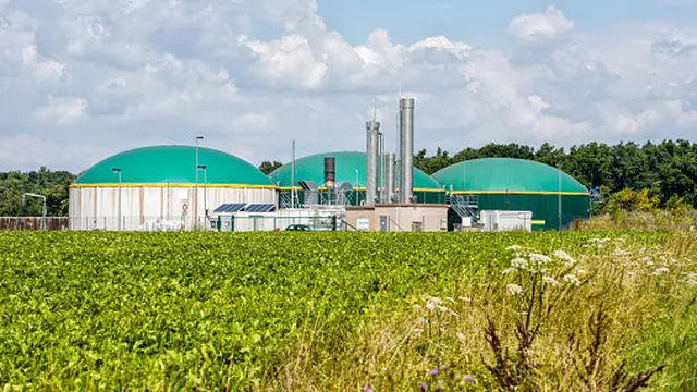 Ilustrasi Bioenergi (istockphoto)