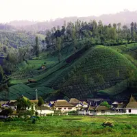Ranu Pani, Jawa Timur. (agentwisatabromo.com)