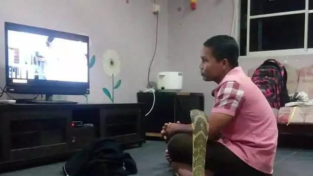 6 Potret Ular Bertingkah Bak Manusia Ini Nyeleneh, Ada yang Nonton TV