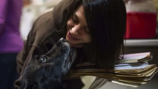 [Bintang] 10 Tahun Hilang, Anjing Ini Balik Lagi! Kamu ke Mana Saja?