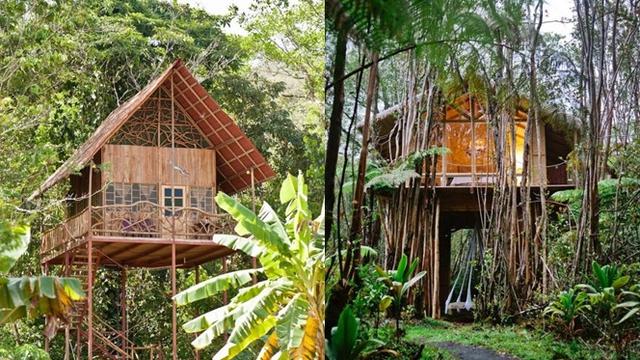 Berbaur dengan Alam, Ini 7 Rumah Pohon Terunik di Dunia ...