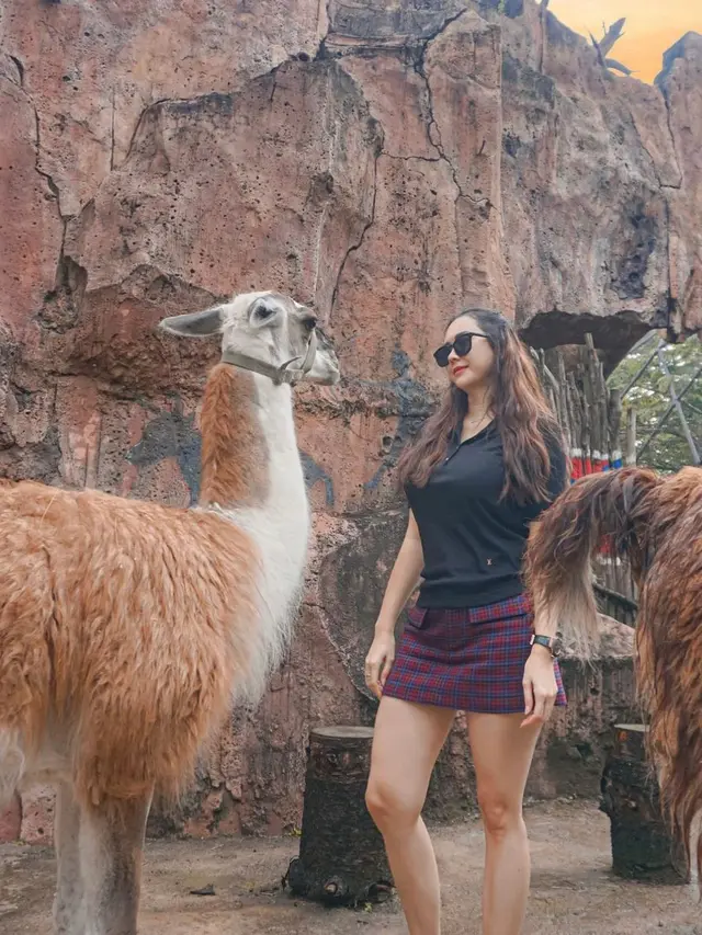 Aura Kasih dan Seekor Llama. (Instagram @aurakasih)