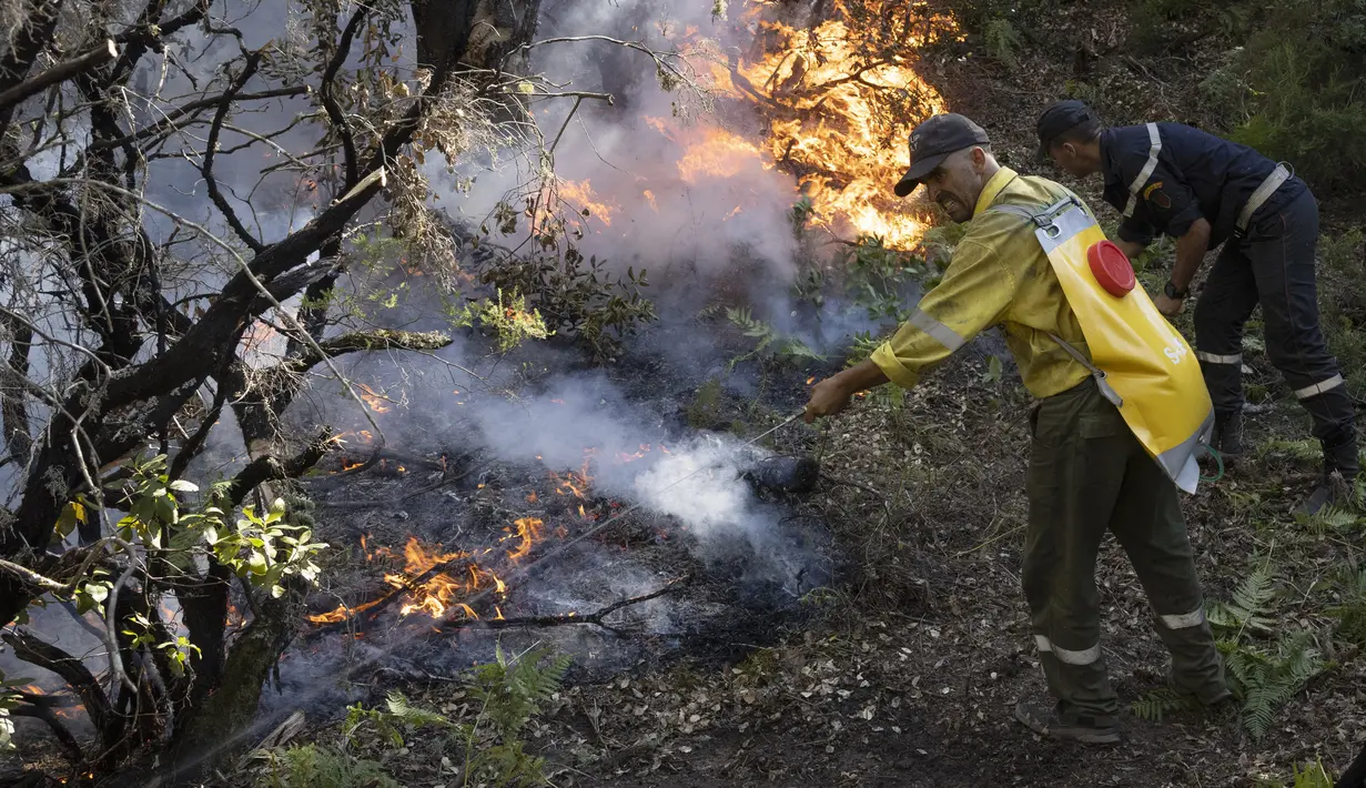Petugas pemadam kebakaran berjuang melawan kebakaran hutan di wilayah Chefchaouen, Maroko, 17 Agustus 2021. Petugas pemadam kebakaran Maroko berjuang untuk memadamkan dua kebakaran hutan saat negara tersebut dilanda gelombang panas. (FADEL SENNA/AFP)