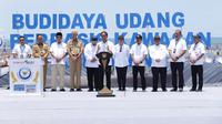 Presiden Joko Widodo atau Jokowi meresmikan tambak budidaya udang berbasis kawasan (BUBK) di Kebumen, Jawa Tengah, Kamis (9/3)