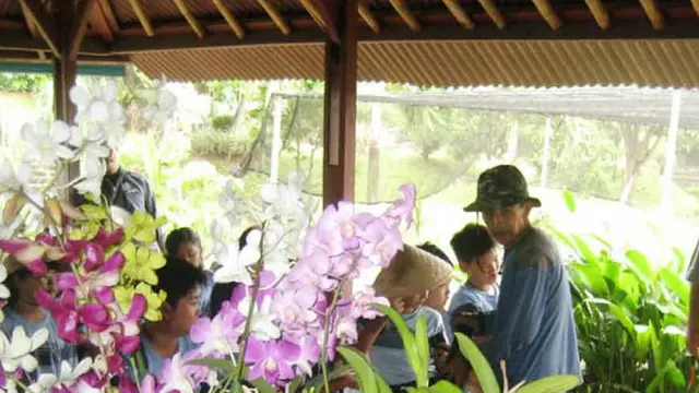 Anggrek di Kebun Wisata Pasirmukti (Sumber: pasirmukti.co.id)
