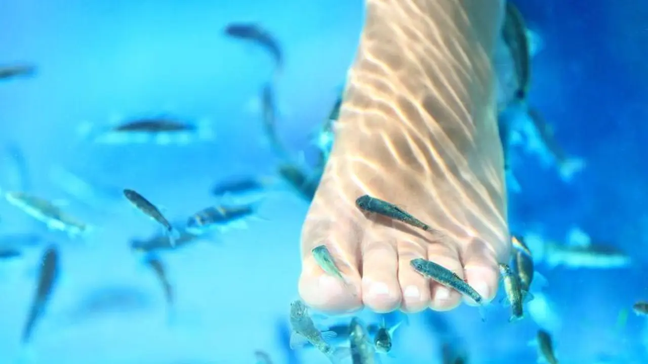 Efektifkah Fish Spa untuk Mengatasi Infeksi Jamur di Kaki?