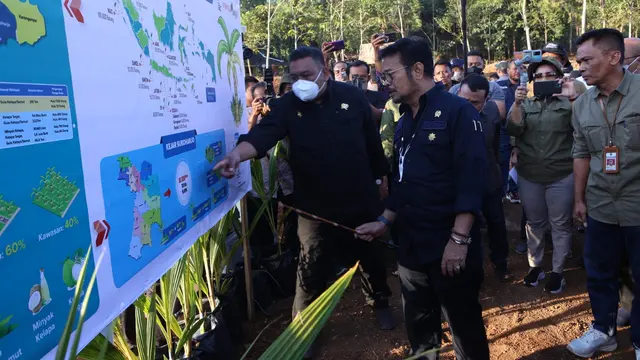 Mentan SYL Cek Persiapan Pengembangan Kelapa Genjah 1 Juta Batang di Sukoharjo
