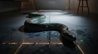 Ular di Kamar Mandi