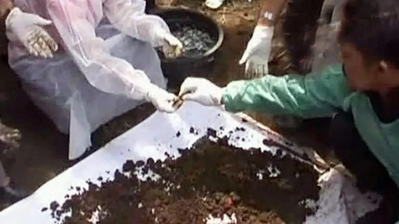 (lip6petang) jasad spetik tank