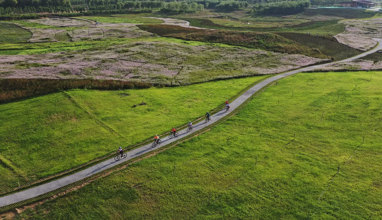 Para pengendara sepeda bersepeda di objek wisata di Donghu, Distrik Kaiping, Kota Tangshan, Provinsi Hebei, China, 17 September 2020. Tangshan membersihkan 72 perusahaan penyebab polusi dan 327 pekarangan yang terbengkalai tanpa pemilik di Donghu sejak 2018. (Xinhua/Yang Shiyao)