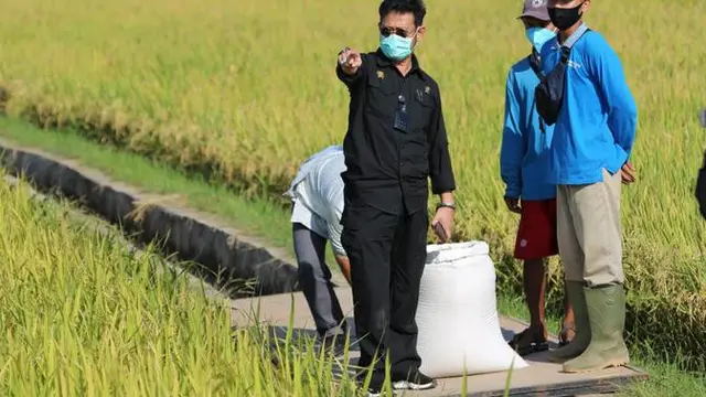 Lewat Program Jalan Usaha Tani, Kementan Siap Maksimalkan Pertanian di Serang