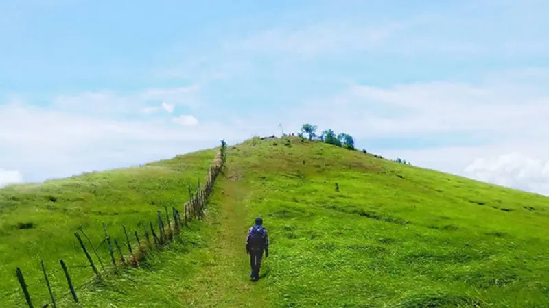 Padang sabana pelaihari