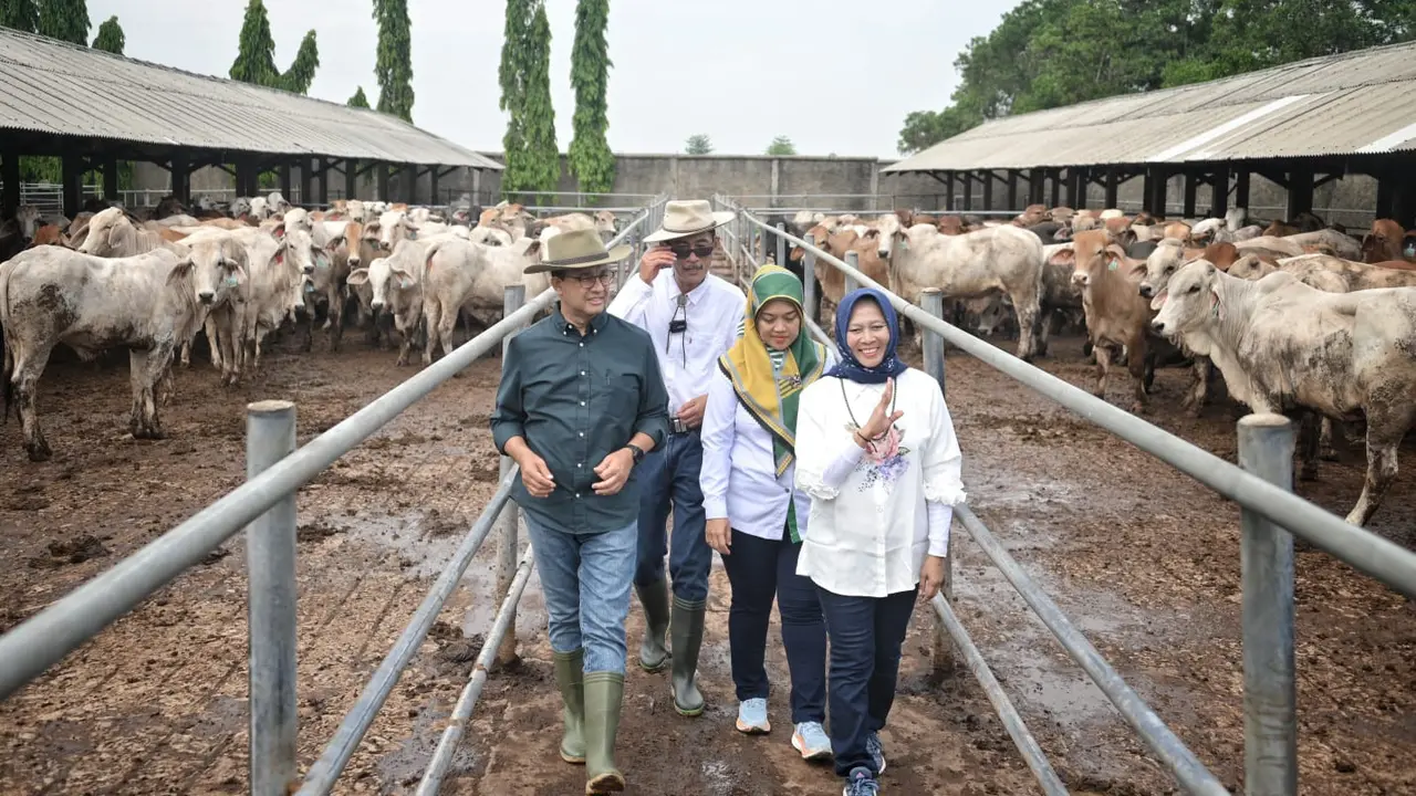 Calon presiden (capres) nomor urut satu Anies Baswedan