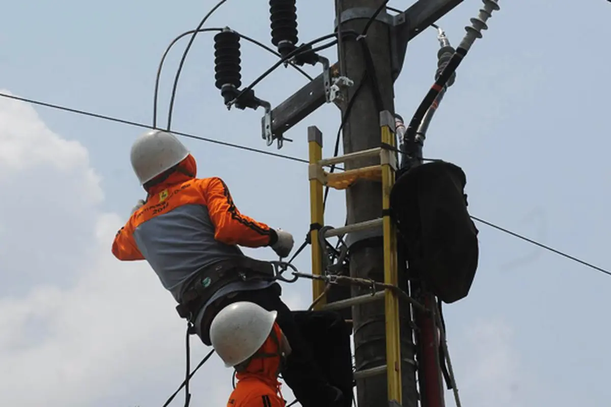 PLN