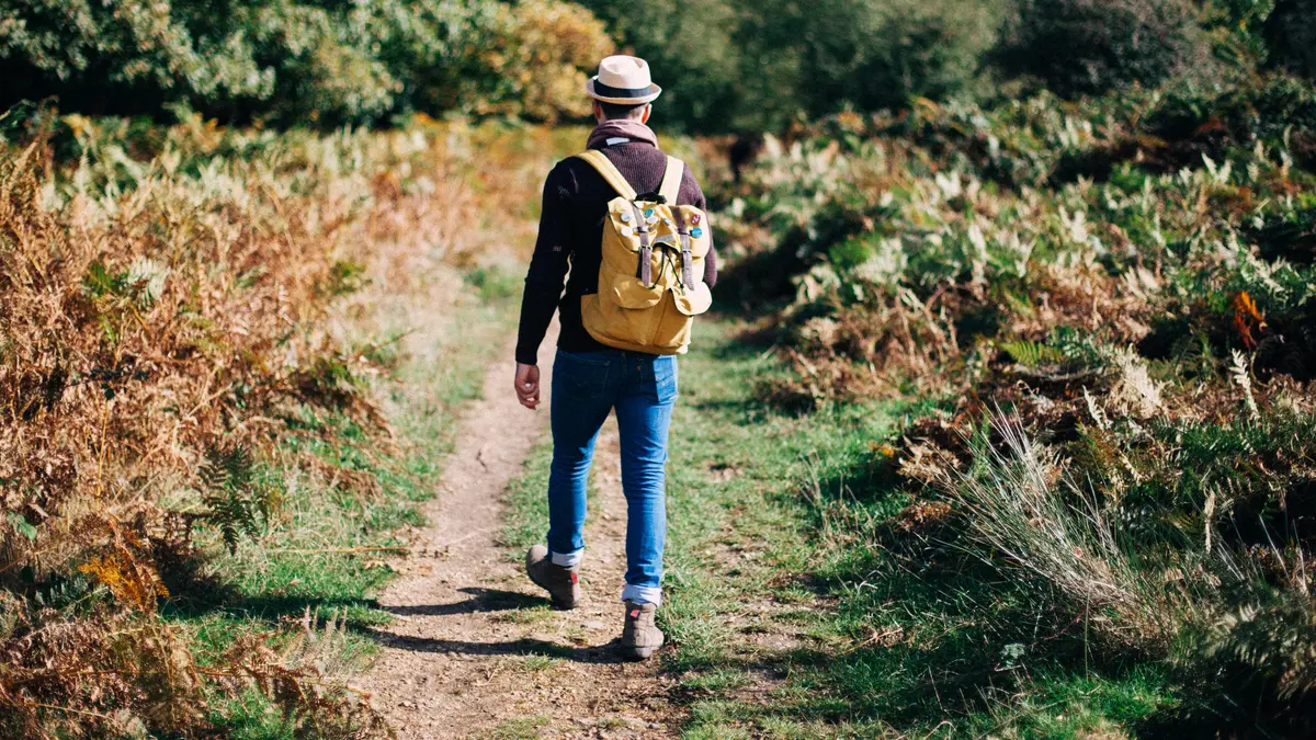 Rahasia Tafsir Mimpi Di Desa: Mengungkap Makna Tersembunyi