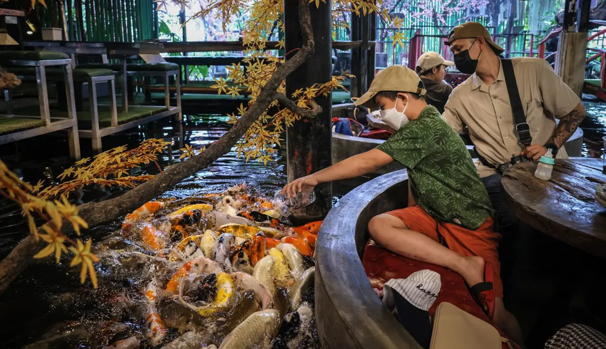Pengunjung memberi makan ikan mas di restoran bertema ikan di Chiang Mai, Thailand, Selasa (12/4/2022). (Jack TAYLOR/AFP)