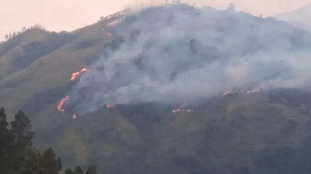 100 Hektare Hutan Gunung Lawu Terbakar, Berpotensi Meluas