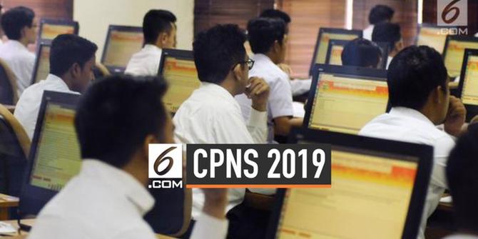 VIDEO: Catat, Begini Cara Cek Pendaftaran CPNS 2019