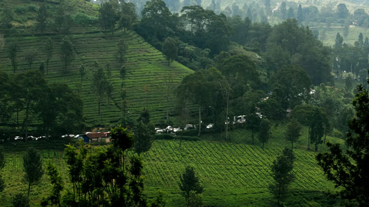 Potret Jejak Purba Manusia Sumatera