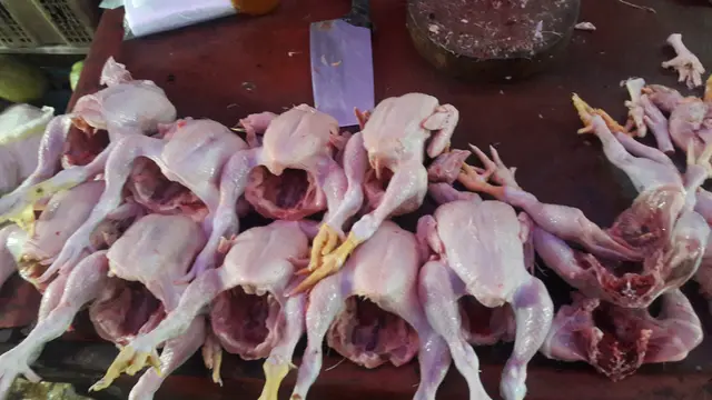 daging ayam